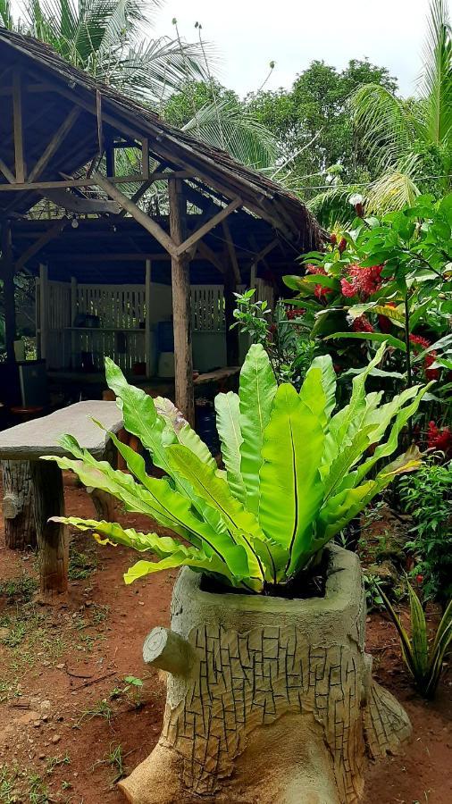 Travis Post Homestay Siquijor Eksteriør bilde
