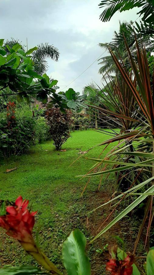 Travis Post Homestay Siquijor Eksteriør bilde