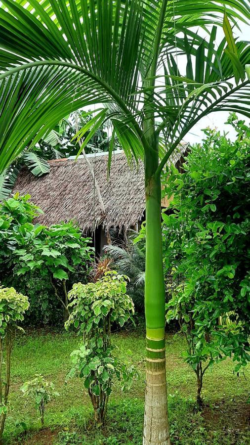 Travis Post Homestay Siquijor Eksteriør bilde